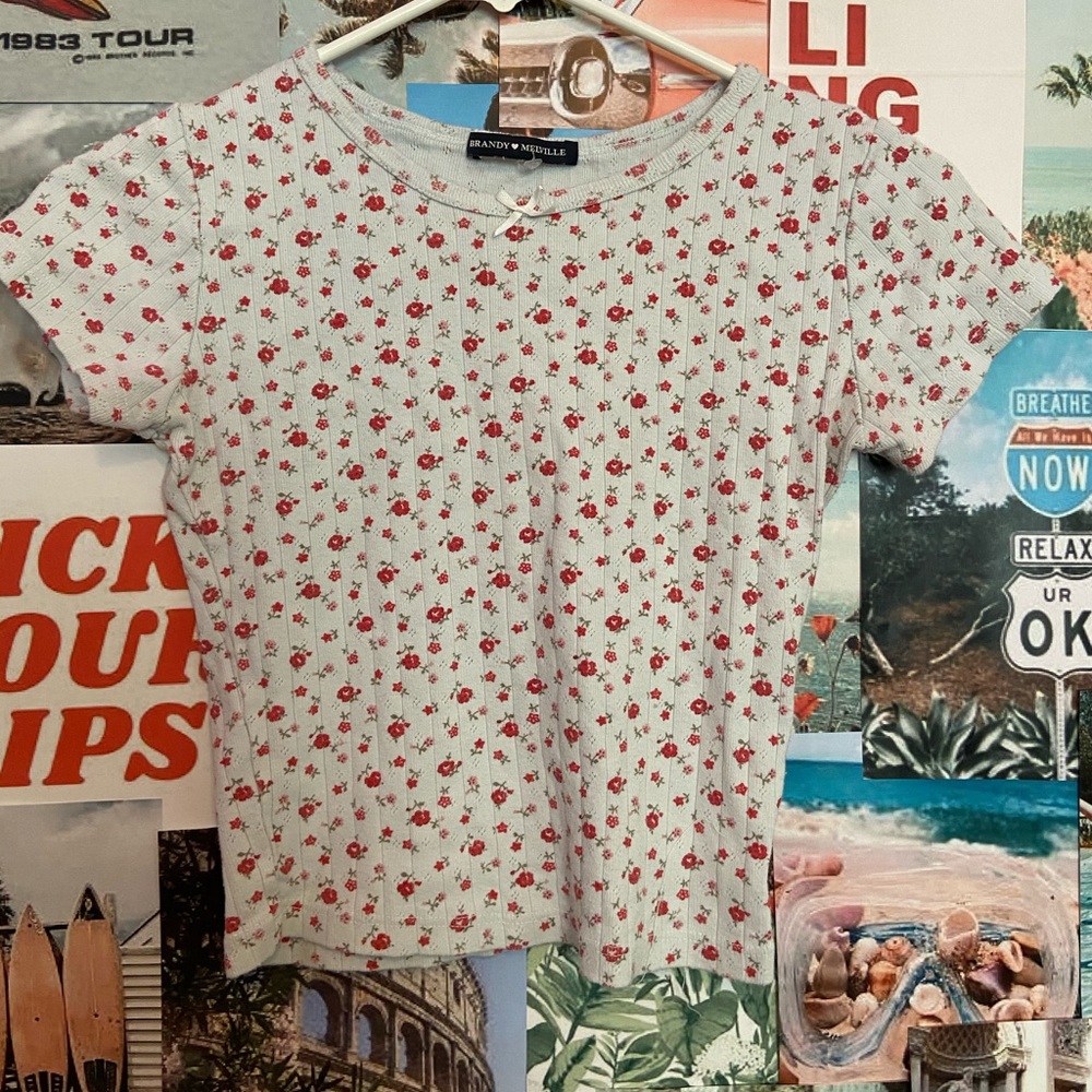 Brandy Melville floral top